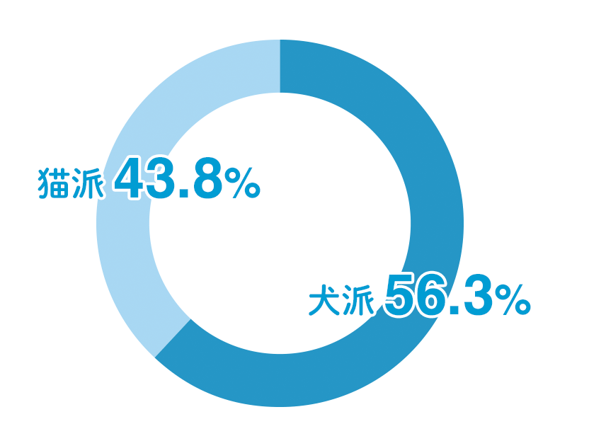 犬派56.3% 猫派43.8%